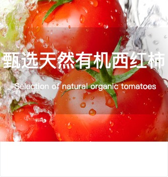 农产品追溯